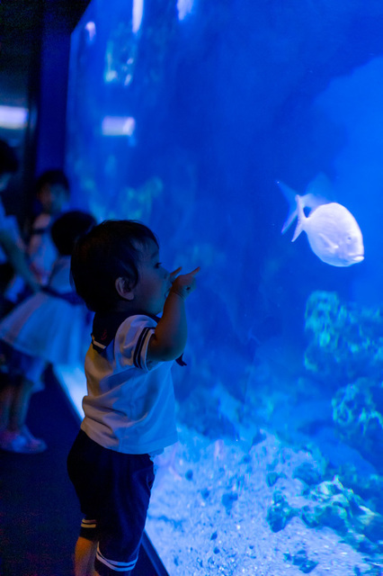 20190728アンと文都2019-20134京都市水族館.jpg